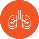 Pet with respiratory infection symptoms receiving veterinary care in Denver, CO